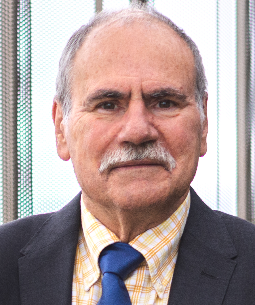 Prof. Michel Armand